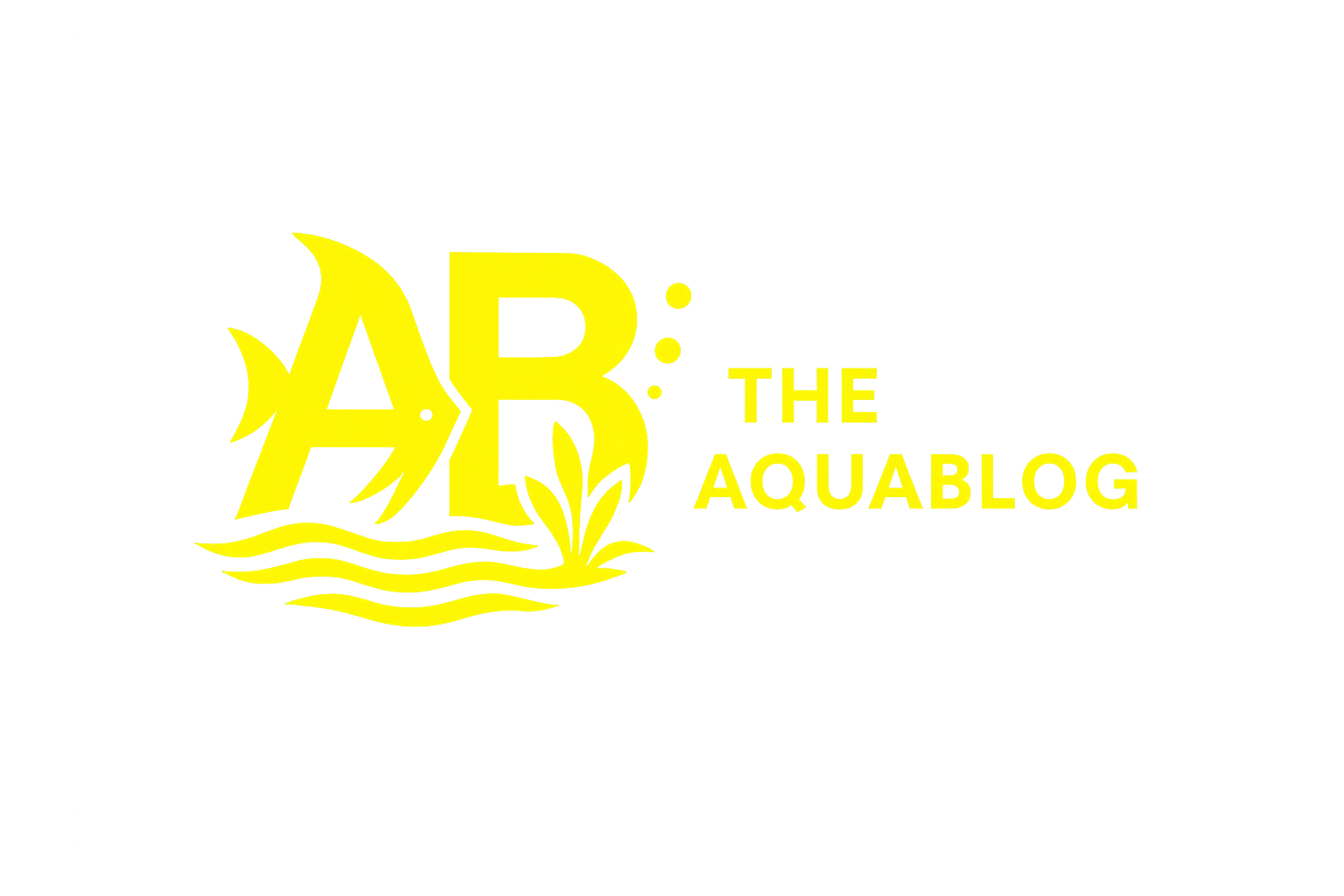 The Aqua Blog